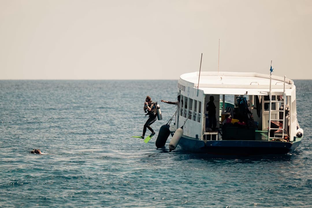 Beginner's Guide to Scuba Diving: Everything You Need to Know